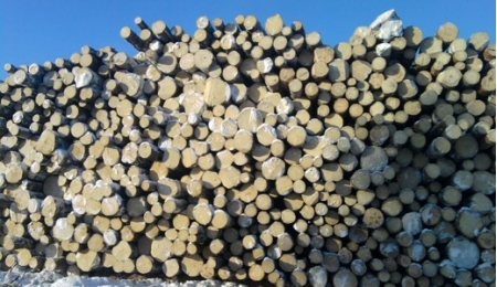 Готовые решения для лесозаготовителей и деревопереработчиков